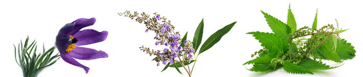 Прострел луговой, агнус-кактус, крапива