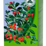 Листья Брусники