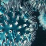 Вирус гриппа