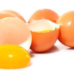 Яичный желток