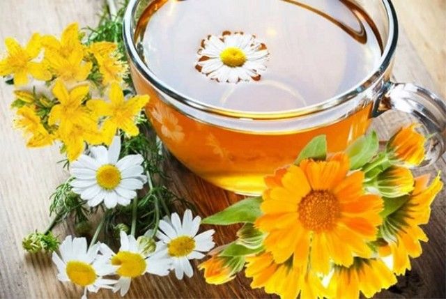 Ромашка и календула