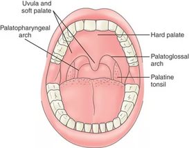 Воспаление задней стенки горла Воспаление задней стенки горла