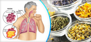 Травы от кашля Травы от кашля