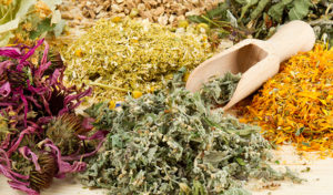 травы от кашля травы от кашля