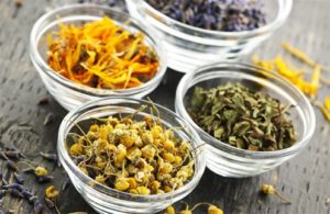 Какие выбрать травы от кашля для детей Какие выбрать травы от кашля для детей